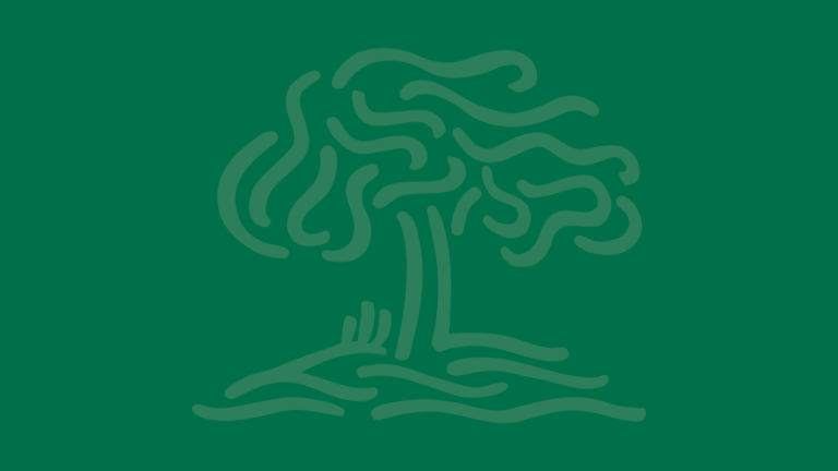 Featured image of the SBIS tree logo set on a solid green background