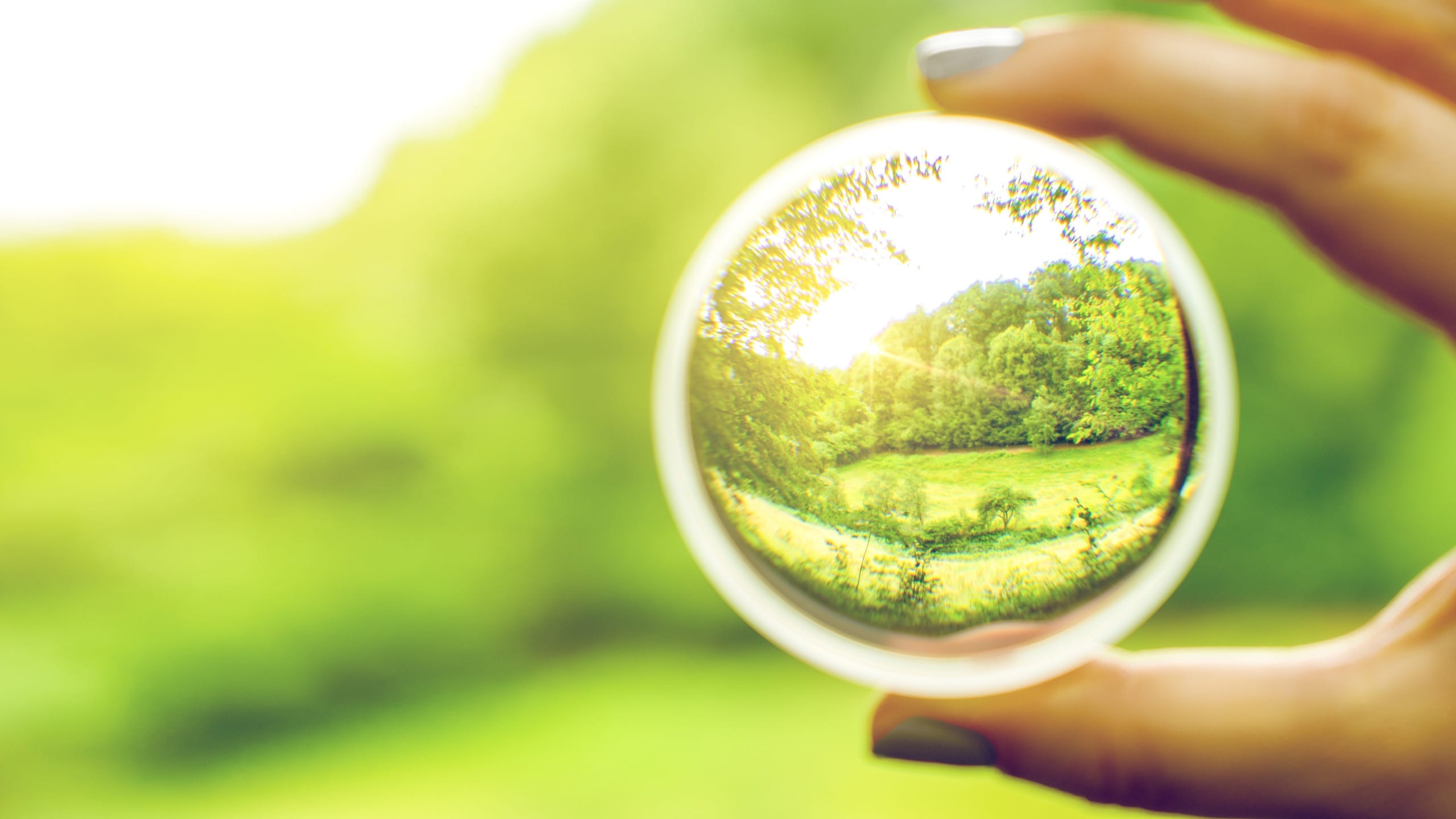 Special Benefits Insurance Services | You Deserve Access To The Care You Need With PRISM Health Insurance PRISM delivers coverage and care, all in one place